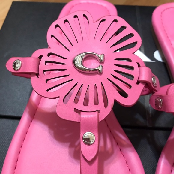 🌸 Coach JULIA SANDAL PETUNIA 6.5 7 🌺 - Picture 6 of 11